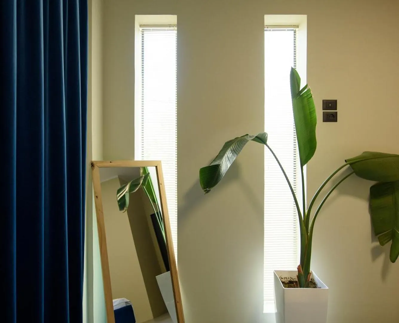 Olivium Rooms Vlorë